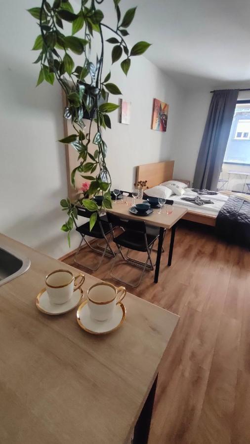 Super Cozy & Apartamento *