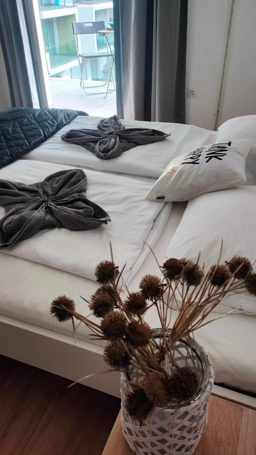 Super Cozy & Apartamento