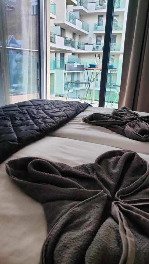 Super Cozy & *